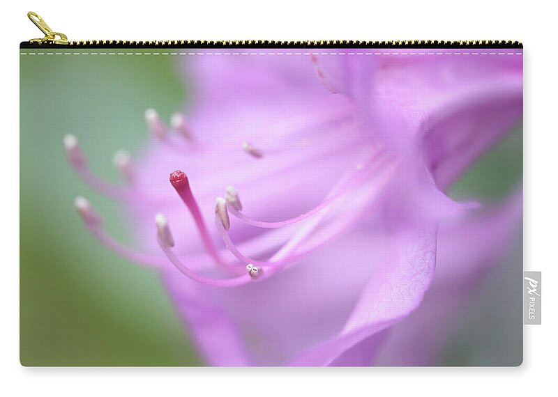 Connie Handscomb Zip Pouch featuring the photograph Angelic Message by Connie Handscomb
