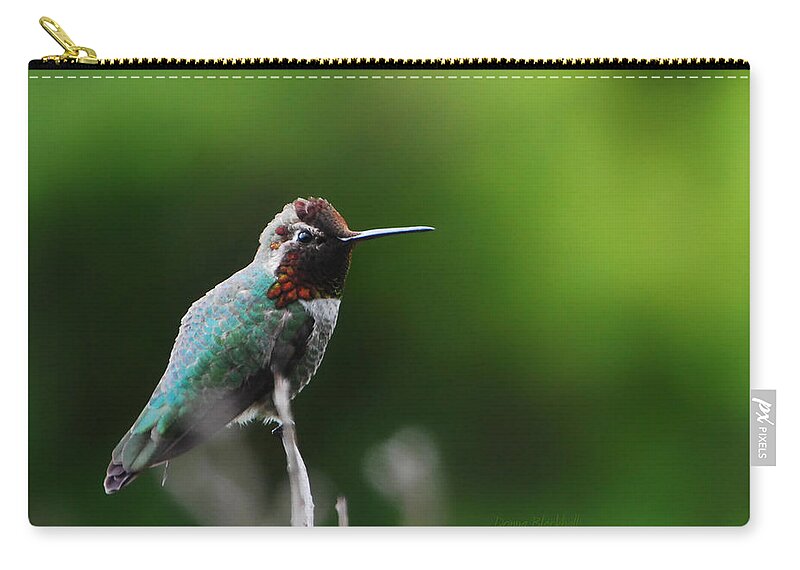 Hummingbird Zip Pouch featuring the photograph Anna's Hummingbird by Donna Blackhall
