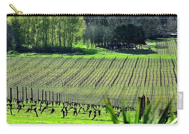 Anne Zip Pouch featuring the photograph Anne Amie Vineyard Lines 23093 14x8 by Jerry Sodorff