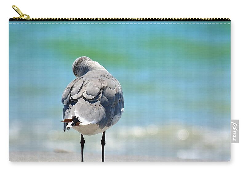 Pigeon Zip Pouch featuring the photograph Another Day Dreamer by Alison Belsan Horton