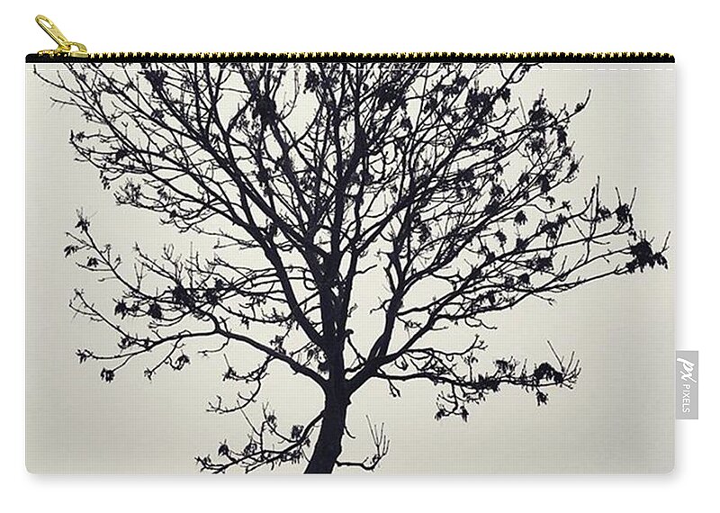 Tree Carry-all Pouch featuring the photograph Another Walk Through The by John Edwards
