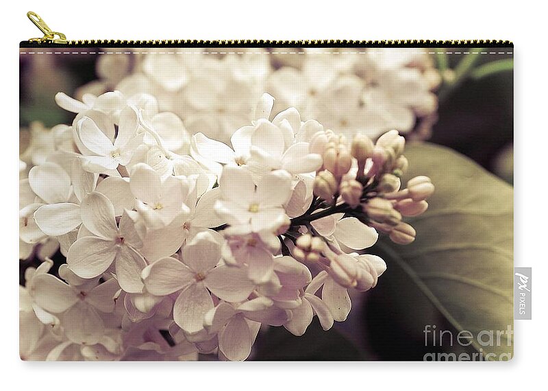 Flowers Zip Pouch featuring the photograph Antique Lilacs by Elaine Manley