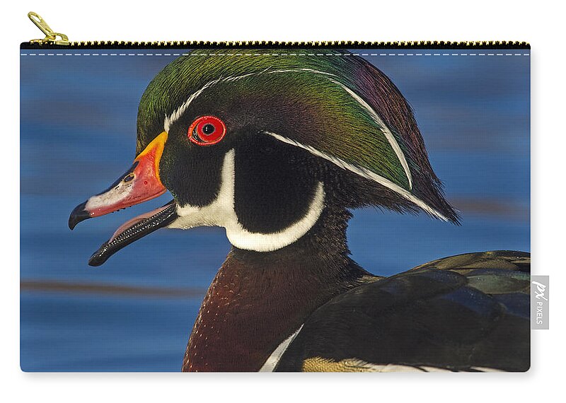 Wood Duck Zip Pouch featuring the photograph Anvil by Tony Beck