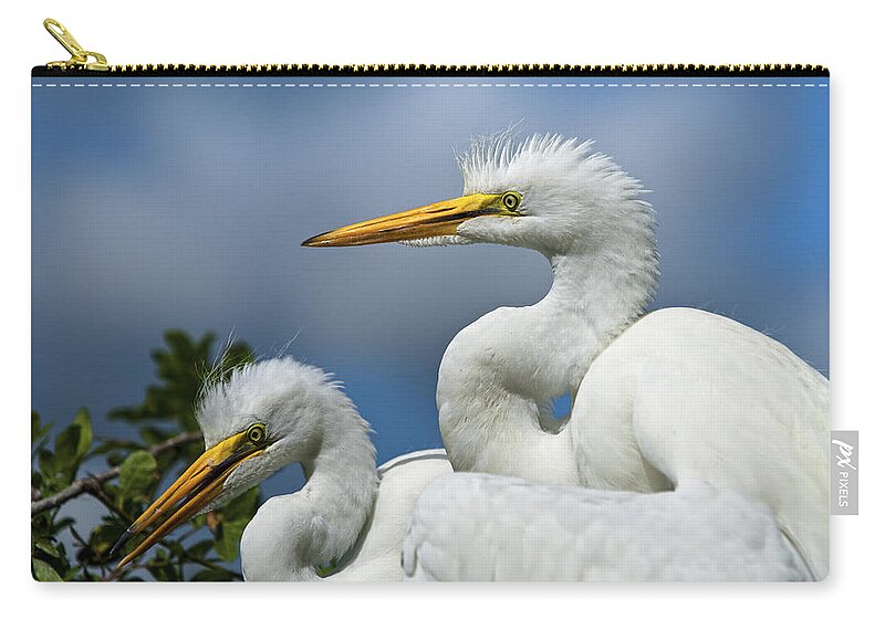 Egret Zip Pouch featuring the photograph Anxiously Waiting by Christopher Holmes