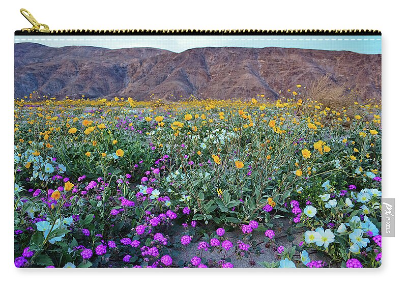 Anza Borrego Desert State Park Zip Pouch featuring the photograph Anza Borrego Desert Super Bloom by Kyle Hanson