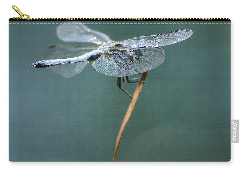 Blue Dasher Dragonfly Zip Pouch featuring the photograph Apex by Fraida Gutovich