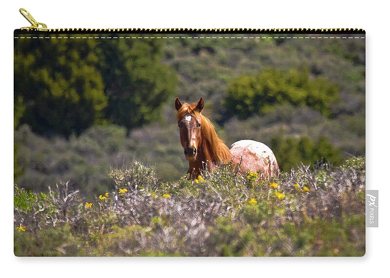 Horse Zip Pouch featuring the photograph Appaloosa Mustang Horse by Waterdancer