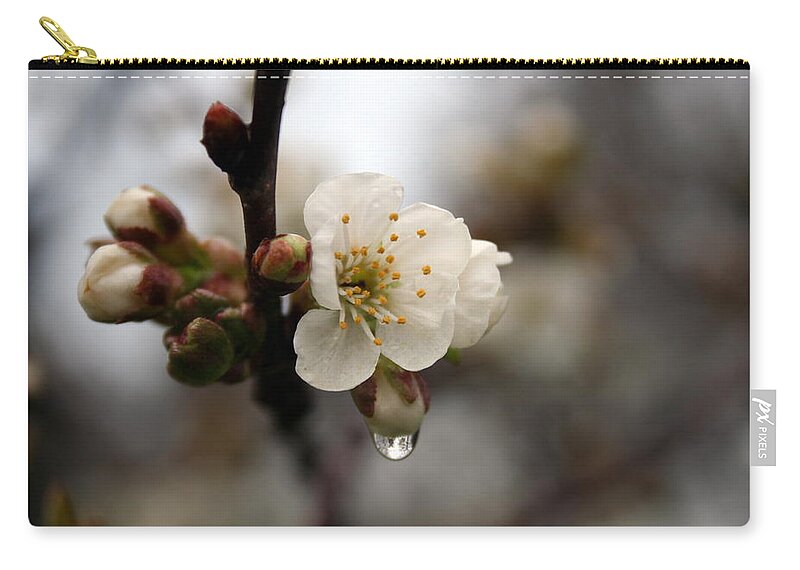Apple Blossom Zip Pouch featuring the photograph Apple Blossom after the Rain by Valerie Collins