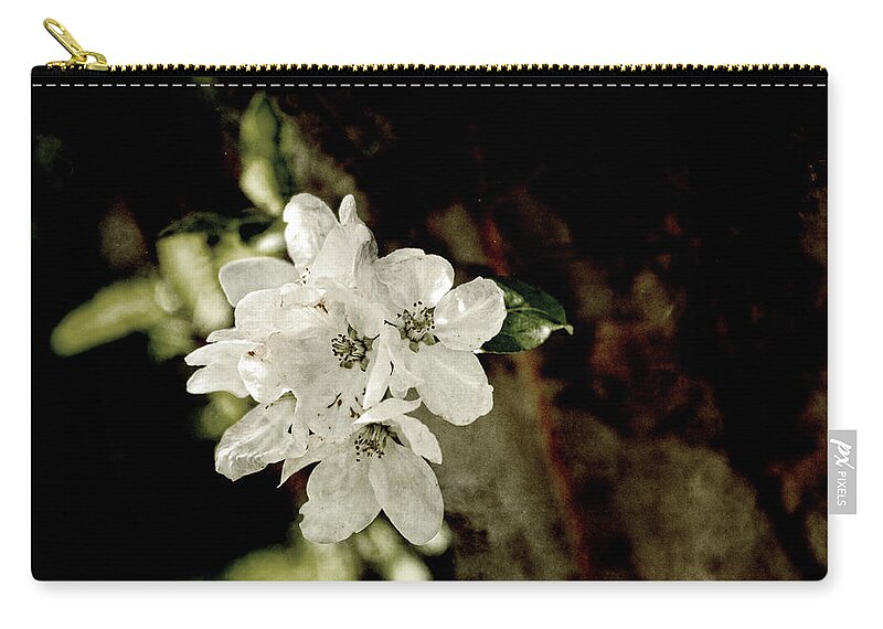 Apple Blossom Zip Pouch featuring the photograph Apple Blossom Paper by Sharon Popek
