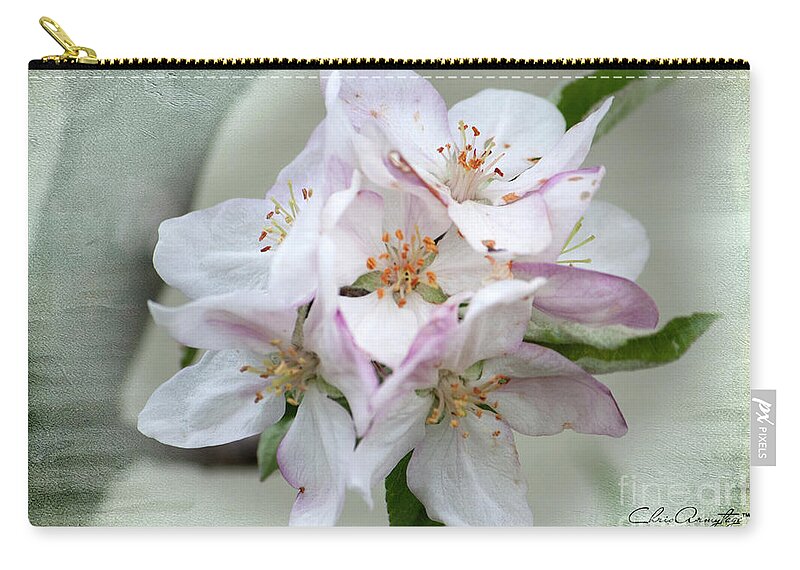 Apple Blossoms Zip Pouch featuring the photograph Apple Blossoms from my Hepburn Garden by Chris Armytage