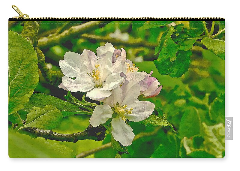 Apple Flowers Zip Pouch featuring the photograph Apple Flowers. by Elena Perelman