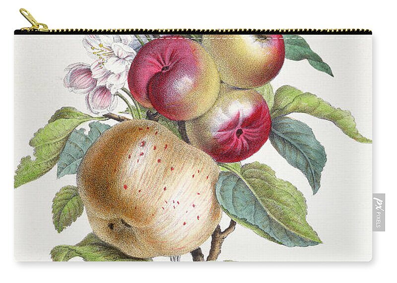 Apple Zip Pouch featuring the painting Apple Tree by JB Pointel du Portail