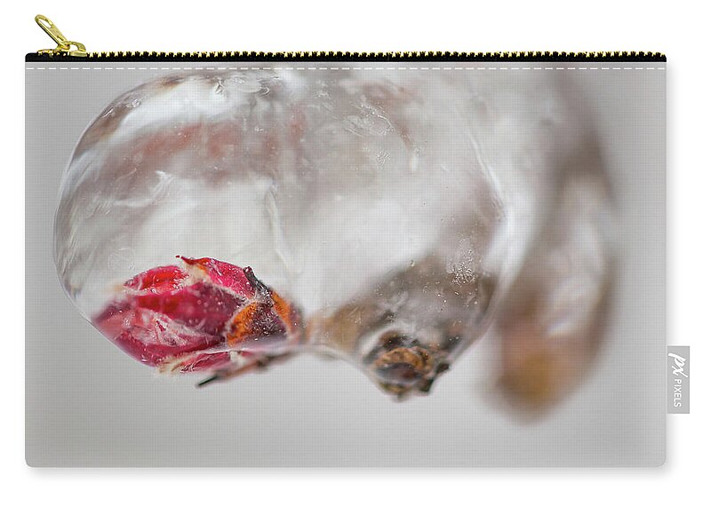 Awakening Carry-all Pouch featuring the photograph April Ice Storm 13 by Jakub Sisak