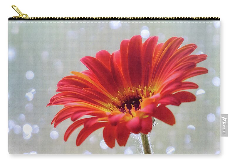 Terry D Photography Zip Pouch featuring the photograph April Showers Gerbera Daisy Square by Terry DeLuco