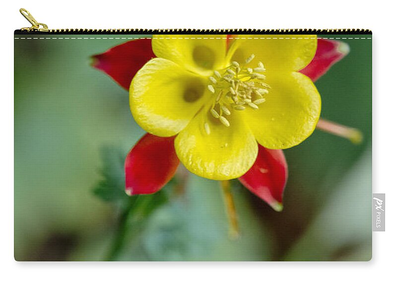 Flowers Carry-all Pouch featuring the photograph Aquilegia by Elena Perelman