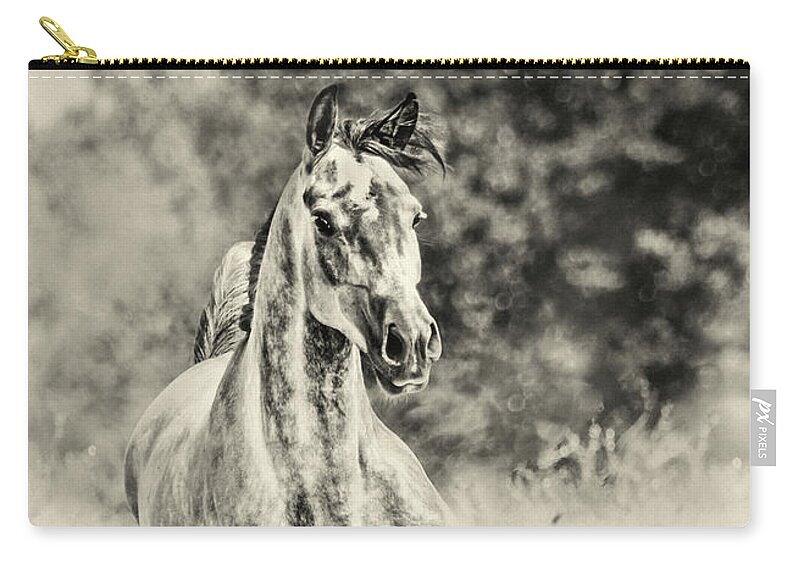 Horse Zip Pouch featuring the photograph Arabian horse running on sunny meadow by Dimitar Hristov