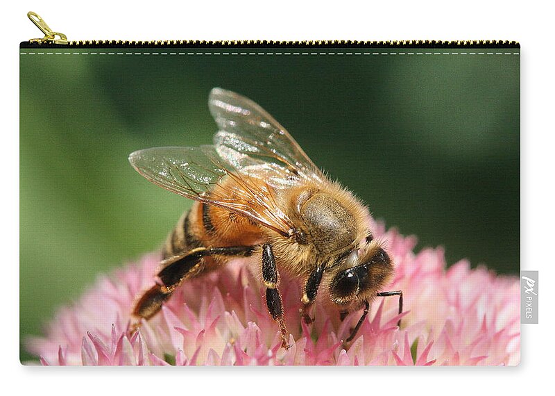 Bee Zip Pouch featuring the photograph Arched by Angela Rath