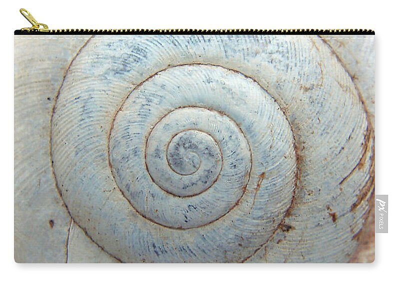 Nature Zip Pouch featuring the photograph Architecture of a Snail by Mary Halpin