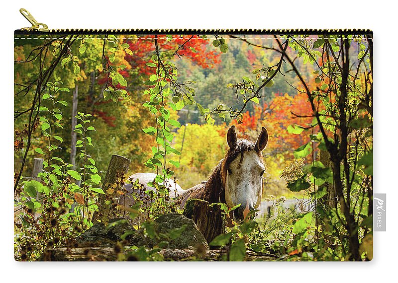 Horse Zip Pouch featuring the photograph Are you my friend? by Jeff Folger