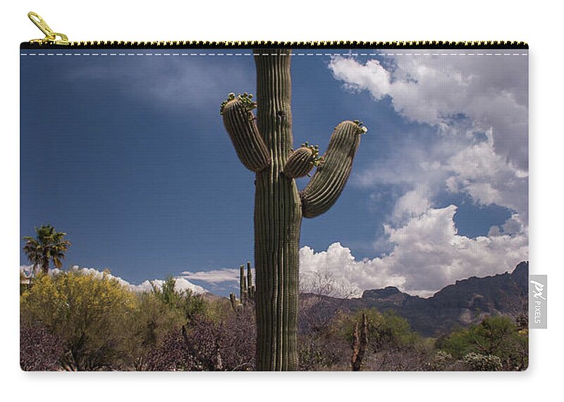 Arizona Zip Pouch featuring the photograph Arizona Cactus by David Palmer