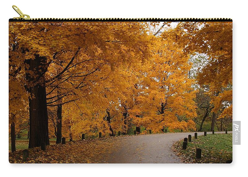 Leaves Zip Pouch featuring the photograph Around the Bend by Lyle Hatch