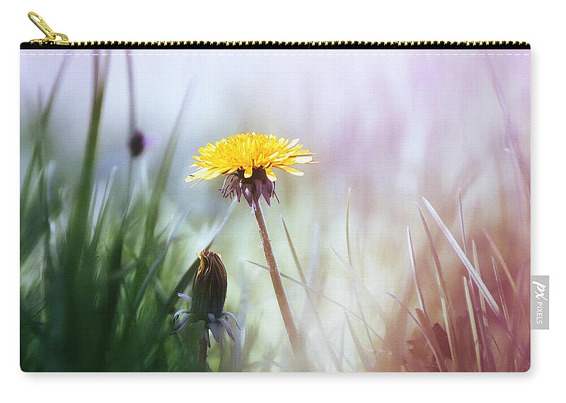 Dandelion Zip Pouch featuring the photograph Around The Meadow 3 by Jaroslav Buna
