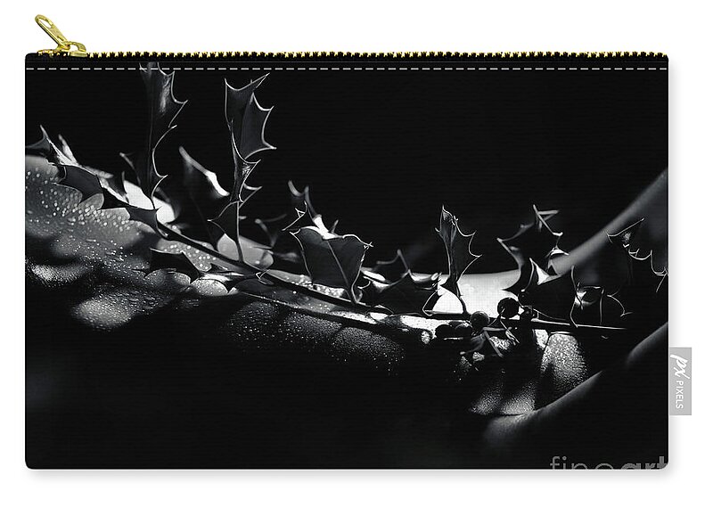Nude Zip Pouch featuring the photograph Artistic nude abstract closeup of a thorny Holly tree branch on by Awen Fine Art Prints