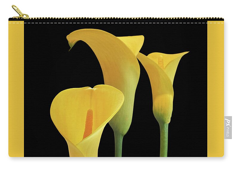 Yellow Flower Zip Pouch featuring the photograph Calla Lilies - Yellow on Black by Gill Billington