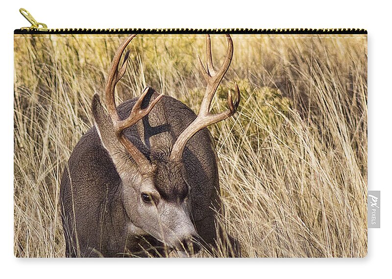 2014 September Zip Pouch featuring the photograph 4 X 5 Muley by Bill Kesler