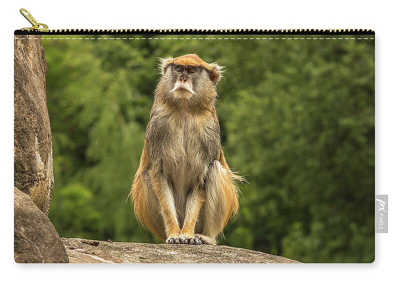 African Zip Pouch featuring the photograph Meditating Monkey by Marv Vandehey