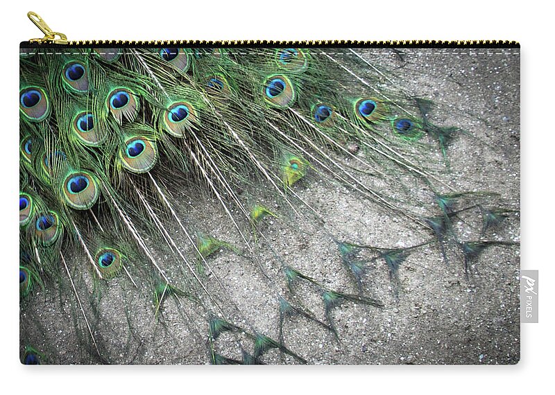 Peacock Zip Pouch featuring the photograph Poised Peacock by Cheryl McClure
