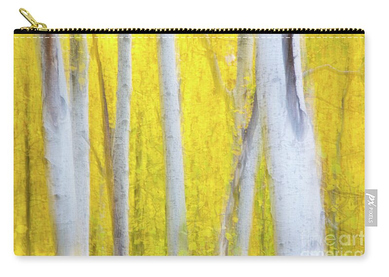 Abstract Zip Pouch featuring the photograph Aspen Abstract by Mimi Ditchie