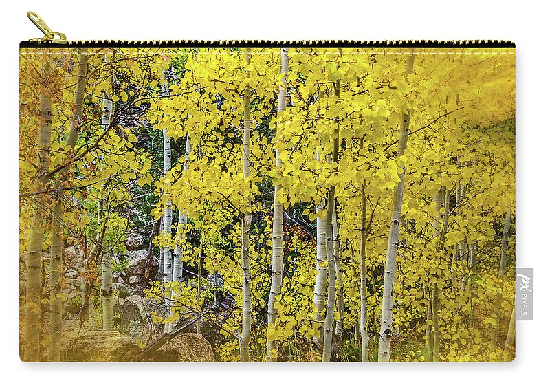 Fall Zip Pouch featuring the photograph Aspen Autumn Burst by Bill Gallagher