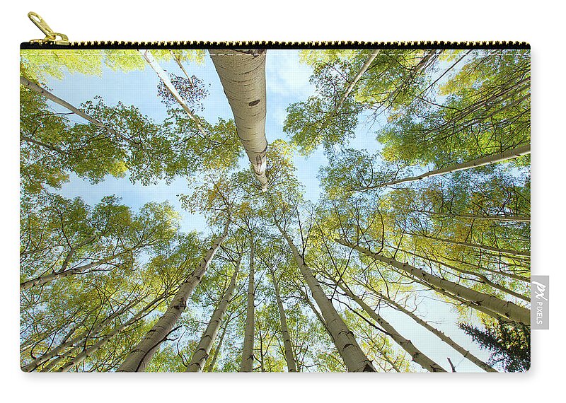 Aspens Carry-all Pouch featuring the photograph Aspen Canopy by Nancy Dunivin