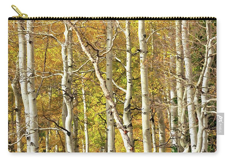 Aspen Carry-all Pouch featuring the photograph Aspen Forest by Doug Sturgess