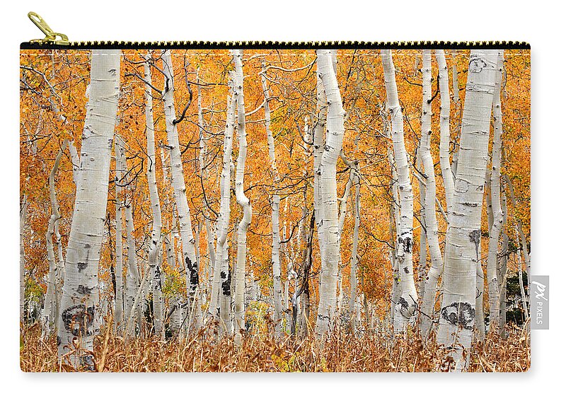 Aspen Zip Pouch featuring the photograph Aspen Forest in Fall by Brett Pelletier