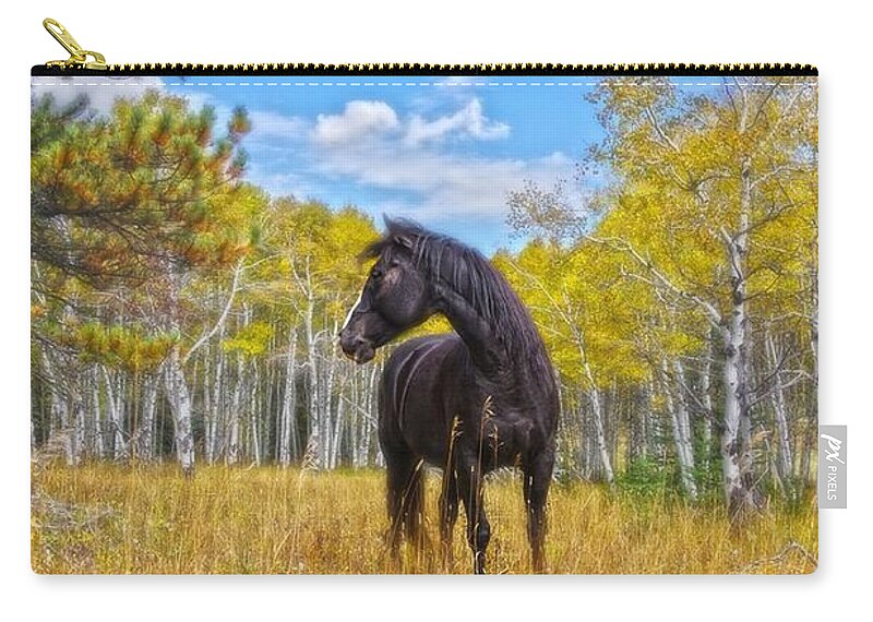 Aspen Zip Pouch featuring the photograph Aspen Gold In Black And White by Amanda Smith