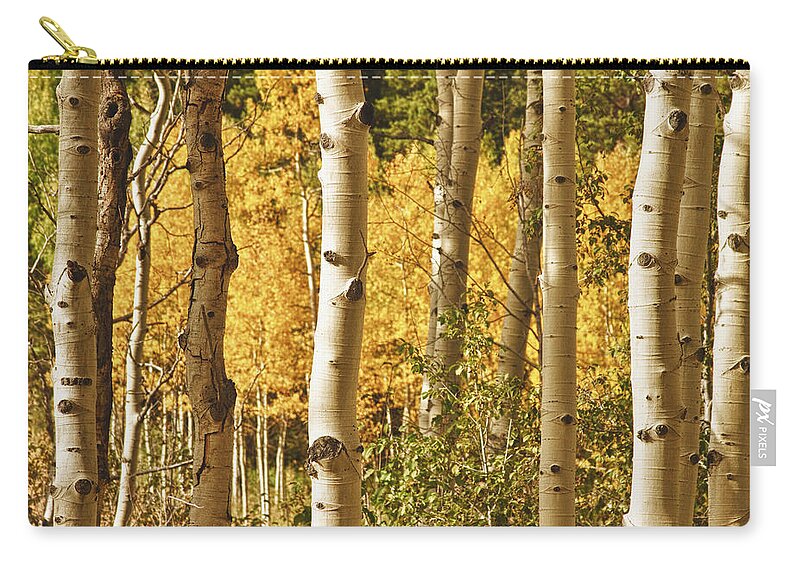 Autumn Zip Pouch featuring the photograph Aspen Gold by James BO Insogna