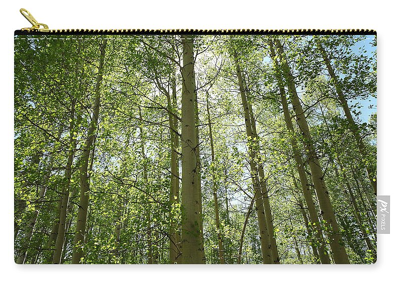 Colorado Zip Pouch featuring the photograph Aspen Green by Eric Glaser