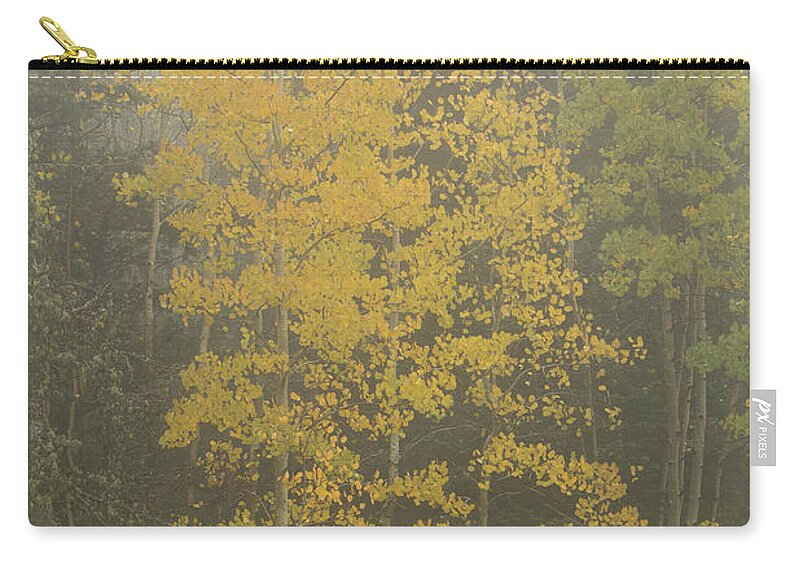 Fall Zip Pouch featuring the photograph Aspen in the fog by Alan Vance Ley