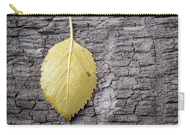 Still Life Carry-all Pouch featuring the photograph Aspen Leaf on Bark by Mary Lee Dereske