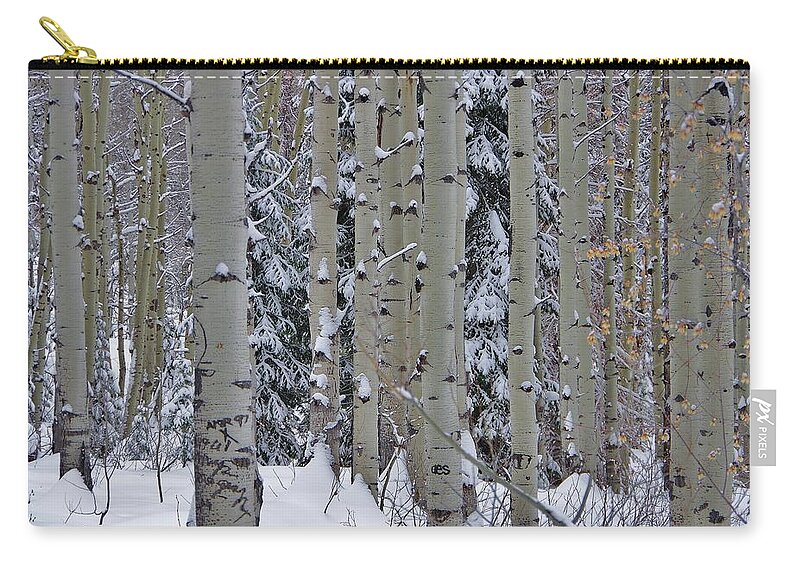 Aspen Trees Zip Pouch featuring the photograph Aspen Snow by Matt Helm