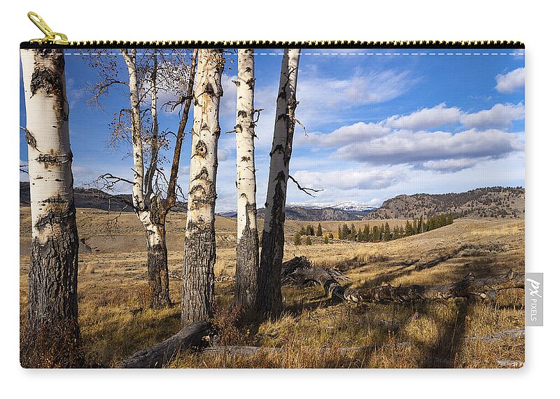 National Park Zip Pouch featuring the photograph Aspen Trees Lamar Valley by Todd Bannor