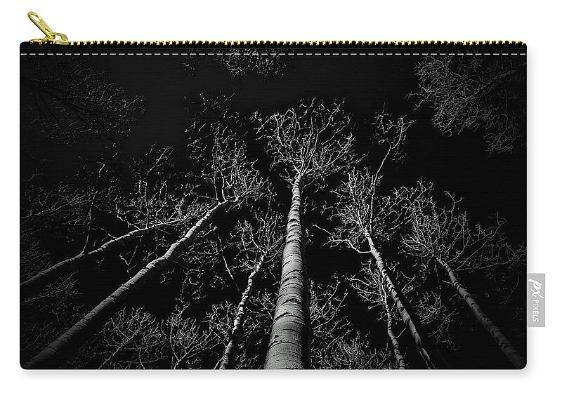 Aspen Trees Zip Pouch featuring the photograph Aspen Winter by Michael Brungardt