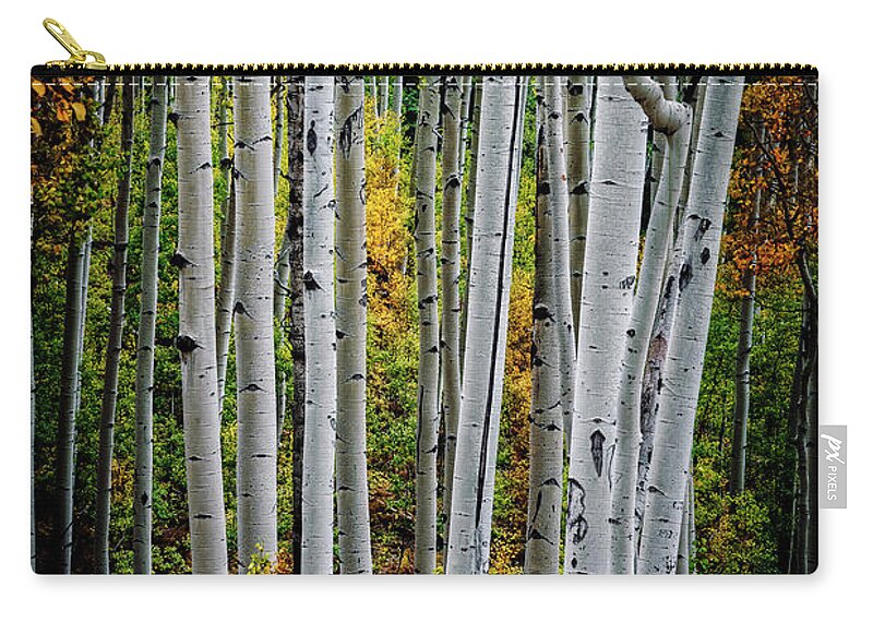 Aspen Zip Pouch featuring the photograph Aspens and Fern Vertical by David Soldano