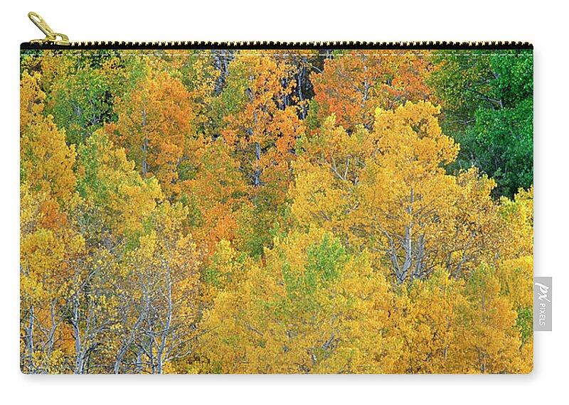 North America Zip Pouch featuring the photograph Aspens in Fall Eastern Sierras California by Dave Welling