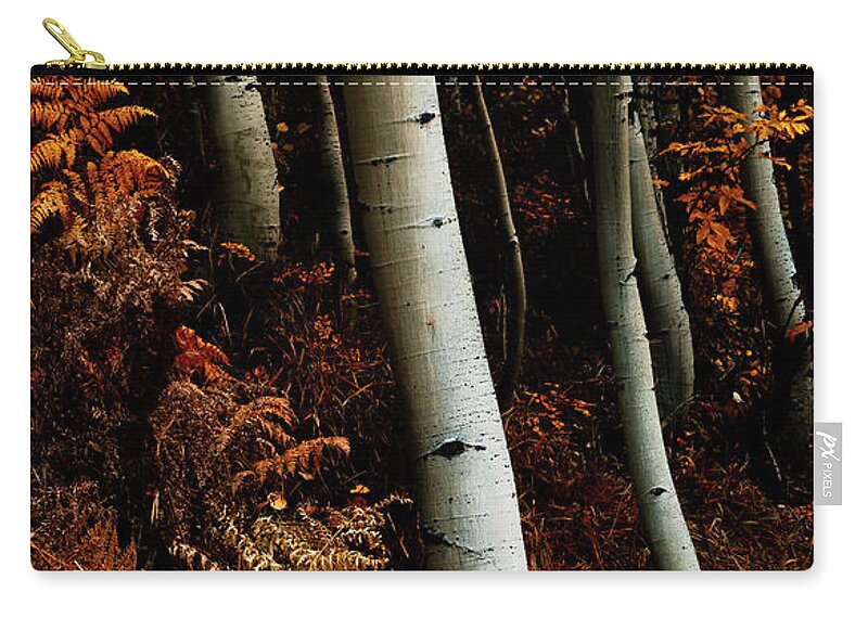 Aspens Zip Pouch featuring the photograph Aspens in Red by David Soldano