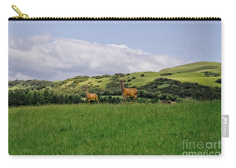 Beecraigs Zip Pouch featuring the photograph At the hill bottom. by Elena Perelman