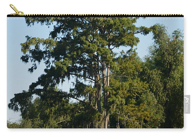 Tree Zip Pouch featuring the photograph Atchafalaya Basin 11 Southern Louisiana by Maggy Marsh