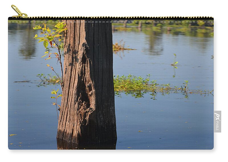 Bald Cypress Zip Pouch featuring the photograph Atchafalaya Basin 22 Southern Louisiana by Maggy Marsh